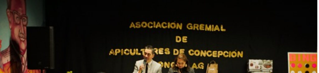REALIZACION DE BINGO A BENEFICIO DE SOCIOS AFECTADOS POR INCENDIOS FORESTALES