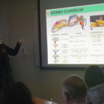 Nuevos apicultores se suman a Apiconce en el Curso de Apicultura Básica 2025