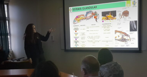 Nuevos apicultores se suman a Apiconce en el Curso de Apicultura Básica 2025
